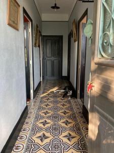 Appartements Riverside serenity : photos des chambres