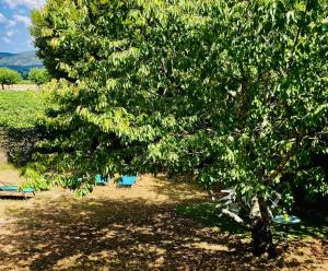 Appartements Riverside serenity : photos des chambres