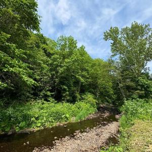 Haku Cottage - Pippu Mountain - Ski-in Ski-out