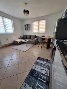 Irina - Prepuštovec