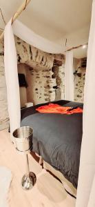 Maisons de vacances Gite de village 2p, terrasse de toit et jacuzzi privatif : photos des chambres