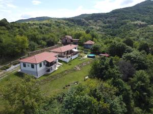 Къща Райкови