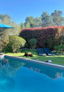 Villas Villa ATHENA : photos des chambres