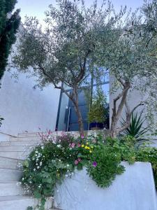 Villas Villa ATHENA : photos des chambres