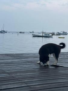 Pousada Dona Zilma Refugio Paradisíaco 2