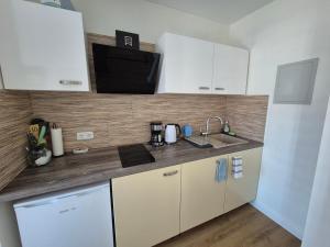 Gemütliche Einzimmerwohnung