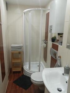 Apartament Alga Zator