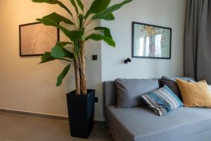 The Next Chapter, Nilie Hospitality MGMT