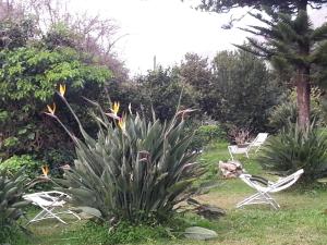 Casa Conigli con piscina condivisa