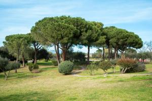 Caletta Nest 38 img23