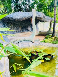 Tropical Dream Villa Habarana