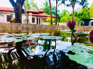 Tropical Dream Villa Habarana