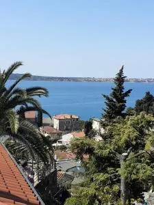 Apartma Ursa - 波尔托罗