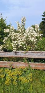 Idyllisches Sommerferienhaus