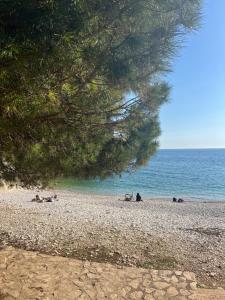 Pearl Apartment Pula