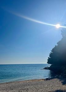 Pearl Apartment Pula