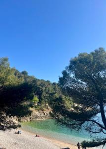 Pearl Apartment Pula