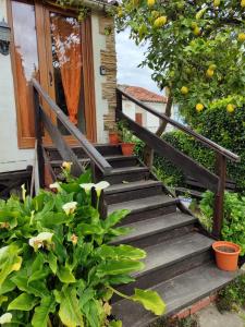 Apartamento Flor de Luna