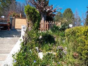 Maisons de vacances Le Soleil - Mazet 33 : photos des chambres