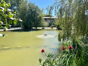 Maisons d'hotes Eden aux hirondelles : photos des chambres