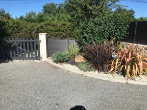 Les Agapanthes