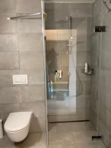 útulný apartmán v srdci Jizerek