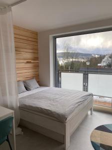 útulný apartmán v srdci Jizerek