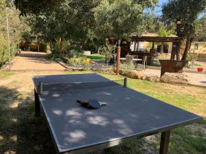 Maisons de vacances Private house, 3 bdr, heated pool & pool house : photos des chambres