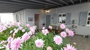 Emilia's Guest House - 阿诺锡罗斯