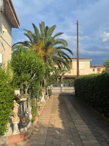 Villa delle palme img6