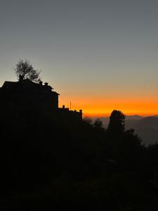 Orchard Oasis Homestay