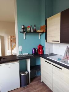 Grand studio centre historique