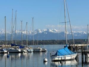 Sunny Place Geneva 15 min Train