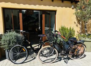 B&B / Chambres d'hotes Les Tilleuls : photos des chambres