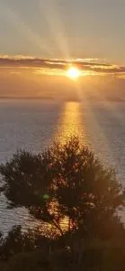 Oceanfront Oasis - 博尔什