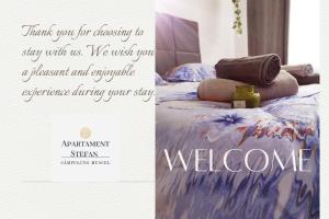 Studio STEFAN Campulung Muscel