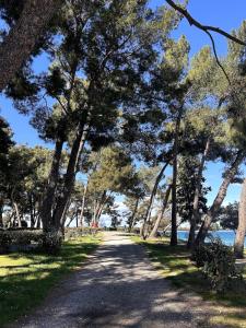 Apartment Eleonora Mare