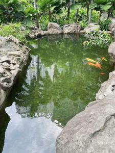 Aveline Suites Cozy Skyline View ACQUA Private Residences near Rockwell Makati