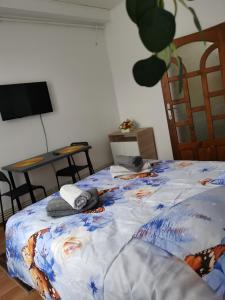 Studio STEFAN Campulung Muscel