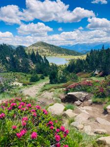 Appartements Studio 2 personnes avec Terrasse Literie-Serviettes-Menage Fin de Sejour INCLUS : photos des chambres