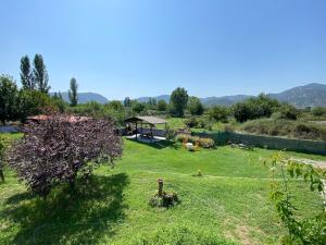 Luxurius comfy 2-floor Apartment With Big Yard