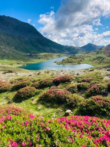 Appartements Studio 2 personnes avec Terrasse Literie-Serviettes-Menage Fin de Sejour INCLUS : photos des chambres