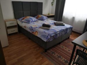 Studio STEFAN Campulung Muscel