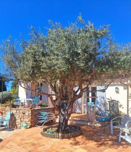 B&B / Chambres d'hotes Villa des Delices : photos des chambres