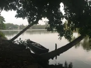 Peaceful perch - Kóžikkót