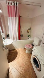1 Room in 2 Room Apartment in Downtown near Frankfurt
