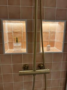 Appartements Elegant studio between train station and city center : photos des chambres