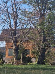 Chalet 1600 Kopaonik