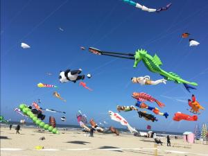 Appartements Appartement ultra lumineux a Berck-Plage pour 6 personnes : photos des chambres