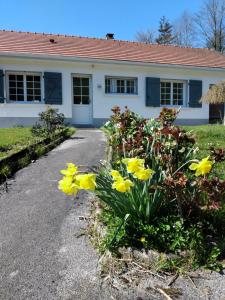 Maisons de vacances Gite de la Souche avec jacuzzi : Maison 2 Chambres